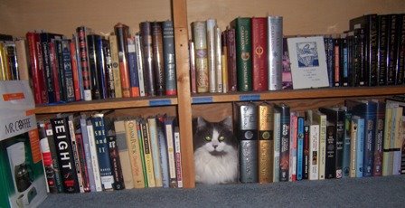 22024-book_cat