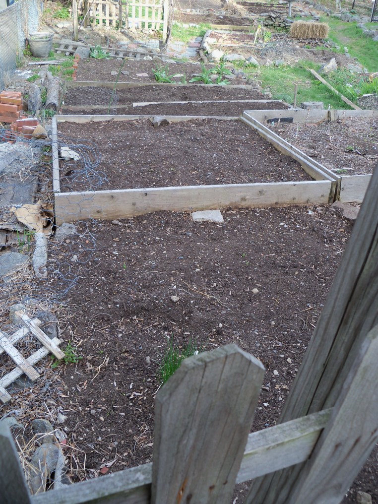Garden plot, April 2015.