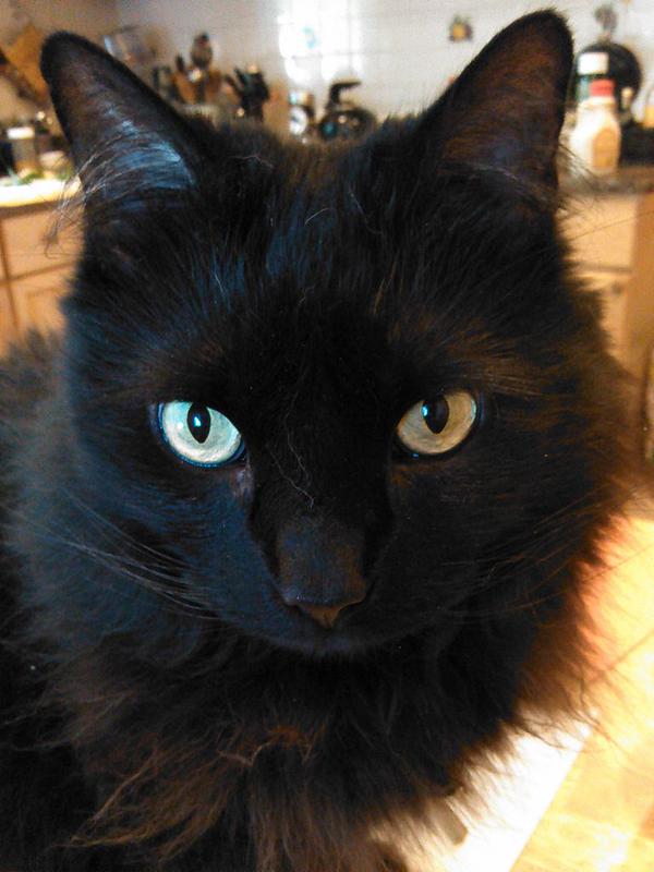 Geraldine, June 2015.